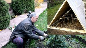 Успей обрезать розы вовремя. Когда и в какое время и каким способом мы обрезаем розы. Как укрывать