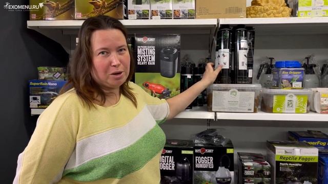 Florariumplants в гостях у EXOMENU. Оранжерея, товары для флорариумов и меристемные растения. смотреть онлайн