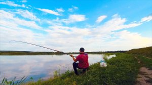 ЭТИ ПАРОВОЗЫ ЛОМАЮТ УДИЛИЩА И УТАСКИВАЮТ ИХ В ВОДУ!! ПРИДЁТСЯ ПЛЫТЬ! ЭТО РЫБАЛКА НА КАРПА! Поплавок