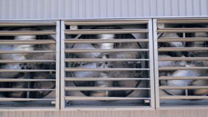 Как устроена безопасность дата-центра "Sibmain"