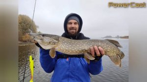 Самая крупная щука сезона