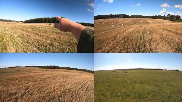 Район Сивки - Ласовичи - Лошаны. 4 сентября 2022 года. Утро смотреть онлайн