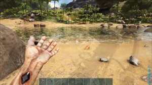 Додо (Dodo) в АРК. Лучший обзор: приручение и способности в ark