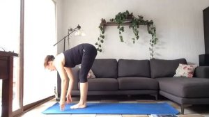 vinyasa Ananda yoga