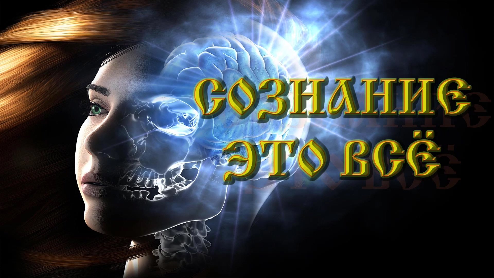 Роберт Адамс — Сознание — это всё