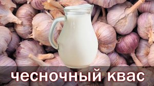 Чесночный квас по рецепту академика Болотова Б.В.mp4
