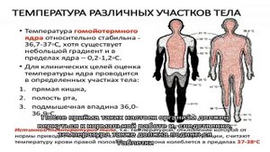 Как повысить температуру тела? Средства, повышающие температуру тела быстро
