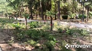 Немного Алушты. Новый парк. 10 июля 2021.