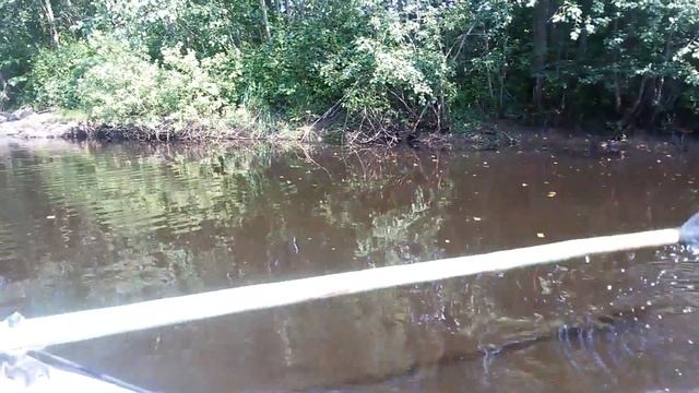 по реке Волхов в приток Сиглинка смотреть онлайн