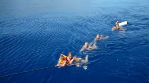 Ловля акулы. Греция 2012