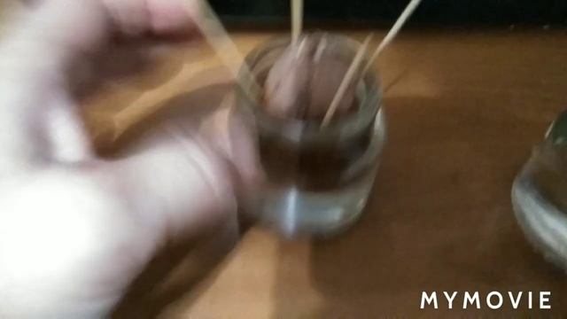 Влог Вырастить авокадо. Лавровый лист. Древовидная мальва - гибискус..надеждаобовсемпонемногу. смотреть онлайн