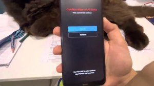 СБРОС ДАННЫХ НА Rebmi Note 8T|КАК СБРОСИТЬ ДАННЫЕ НА УСТРОЙСТЕ Redmi?