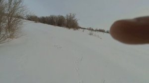 Мотобуксировщик Алабай.  В поисках зайца.