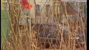 1996 Мегион май