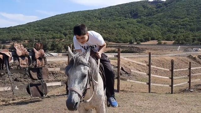 МАХАЧКАЛА 2020/Катание и прогулка на лошадях/ кормим лошадь. смотреть онлайн