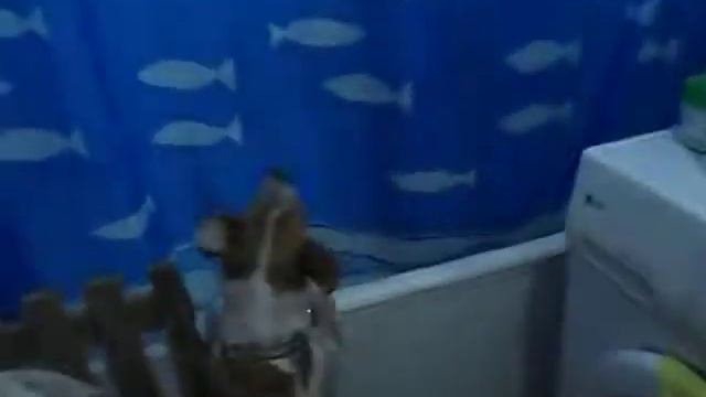 джек рассел шкодник смотреть онлайн