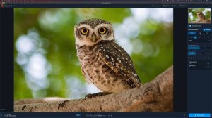 TOPAZ GIGAPIXEL AI: New Update V5.2 FIRST LOOK (New Crop Tool Feature)