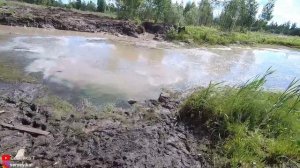 Осушаем пруд. Копаем пруд на даче экскаватором. Digging a pond. Очистка и углубление пруда. Серия 1