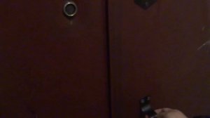 Электрический лифт V=1 м-с, грузоподъемность 400 кг (1661)