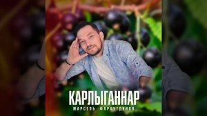 Марсель Фархутдинов- Карлыганнар