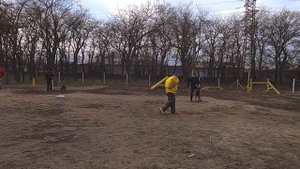 Дрессировка собак. СТРАЖ