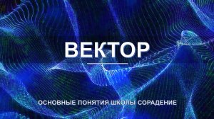 Вектор - основные понятия школы Сорадение. Развитие в Соразмерности.
