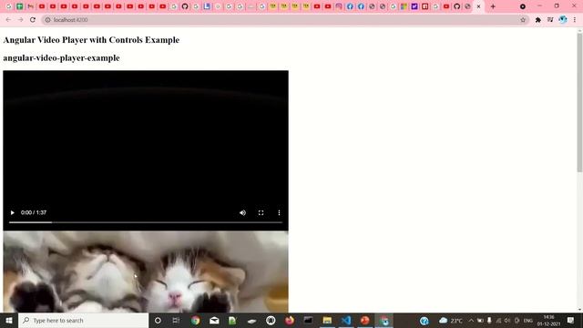 Angular Video Player
