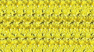 Улучшение зрения на 100%!Упражнение для глаз и Миопия уходит навсегда!