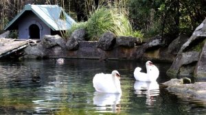 Восхитительный Воронцовский дворец в Алупке