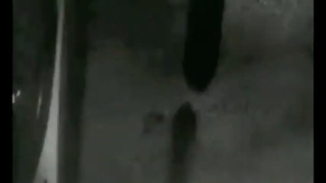 Vertov Clip