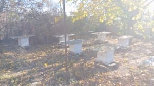 Приобрели по акции кормушки отлично подходящие под северо-крымский улей.Будем испытывать их весной.
