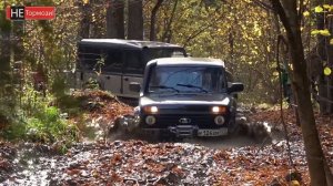 Работяга на грузовике зил 131, провалился в лесу по самые борта. Suzuki jimny провалился под землю.