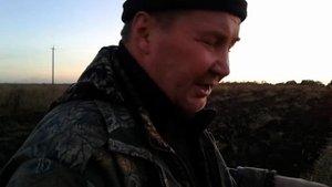 Фацелия под зиму.