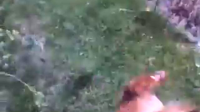 Неудачная прогулка Шати смотреть онлайн