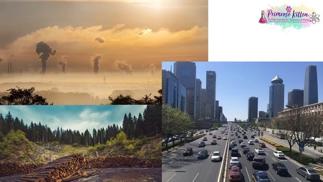 The Whole of AQA GCSE Chemistry Paper 2 | 13th June 2023 смотреть онлайн