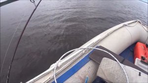 ТРОЛЛИНГ  на Каме   1ноября 2023