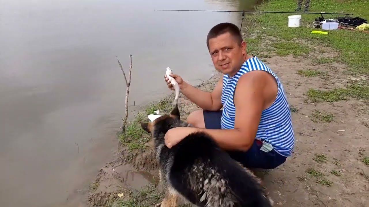 Ночная рыбалка в Астрахани на сазана  - Жизнь беженцев из Мариуполя в России