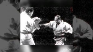 Стальные кулаки
