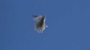 Кто виноват? Скажи мне Брат.....