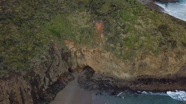 Туры в Новую Зеландию - Фантастический пляж на побережье Тасманово моря в городе Окленд