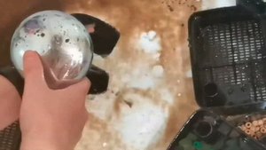 Чистка внешнего фильтра для аквариума.
