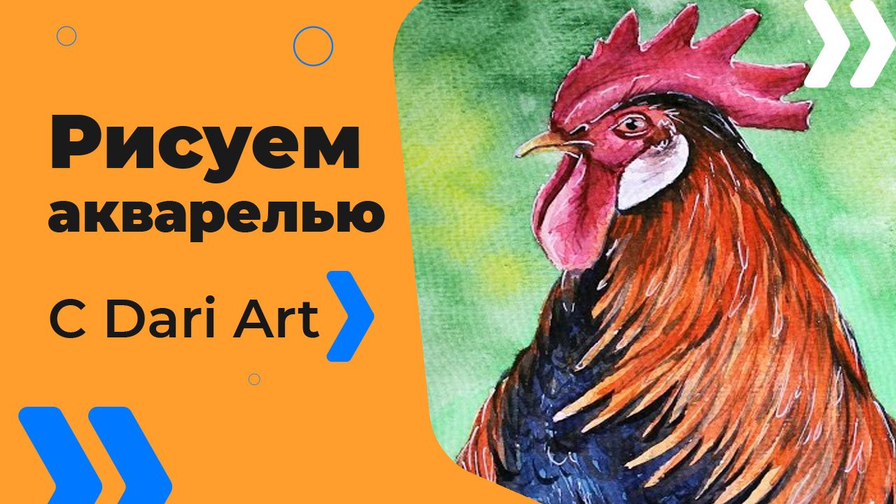 Бесплатный урок рисования! Как нарисовать петуха акварелью! Акварель для начинающих!
