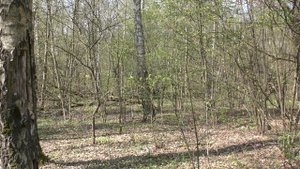 Тест камуфляжа A-TACS FG (Мох). Часть 1. Весна / Camouflage test A-TACS FG. Part 1. Spring