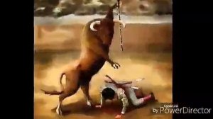 Если бы звери были на месте людей,а люди на месте зверей))