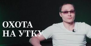 Охота на утку, типы уток