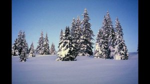 зима !..крестьянин торжествуя...Пушкин А.С.