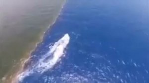 ЗНАМЕНИЯ АЛЛАХА В МОРЕ И ЭТО УКАЗАННО В КОРАНЕ 1400 ЛЕТ НАЗАД АЛЛАХОМ ЕГО ПРОРОКУ И ВСЕМ ЛЮДЯМ