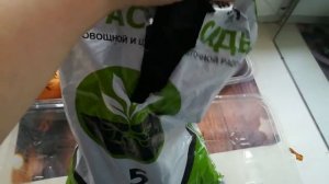 Как вырастить зеленый лук на подоконнике в домашних условиях зимой.