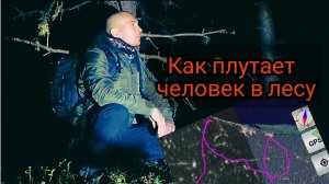 Как плутает человек в лесу без ориентиров.