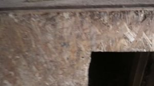 Кормление и уличное содержание охотничьих собак в зимний период.